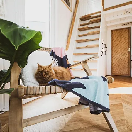 キャンプ場 Polwysep Zacisze - Tiny House Village *