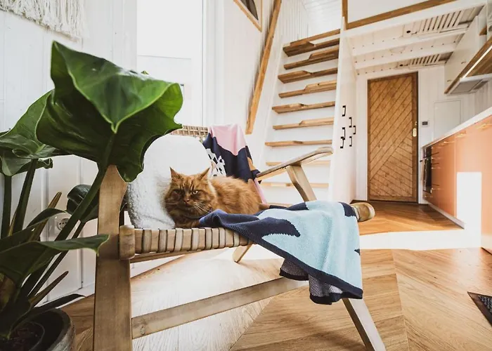 Camping Polwysep Zacisze - Tiny House Village *